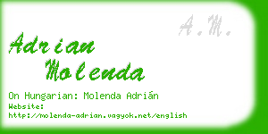 adrian molenda business card
